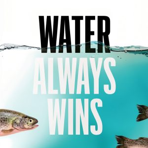 Environmental Hydrology Textbook Chicago Press 335‑Page Kindle-0