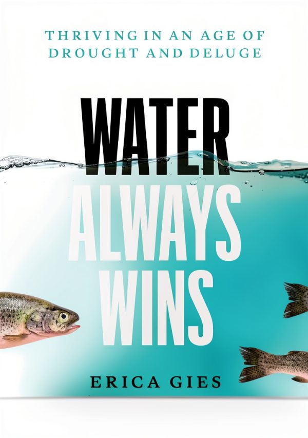 Environmental Hydrology Textbook Chicago Press 335‑Page Kindle-0