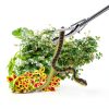 60 Foldable Snake Grabber Tool Mezchi Duty Stainless Steel Tongs-6