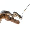 Snake Hook Yorikyas 64‑Inch Telescopic Stainless Steel Tool-2