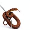 Stainless Steel Extensible Snake Hook 26 Inches, Retractable Reptile Hook Foldable Stainless Steel Snake Tool Portable Mini Snake Hook For Ball Python Snake Stick Pick-Up Handling Tool, Black-3