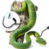 Snake Hook Gzlozak Heavy Duty 35‑65″ Stainless Steel with Rubber Tip-6