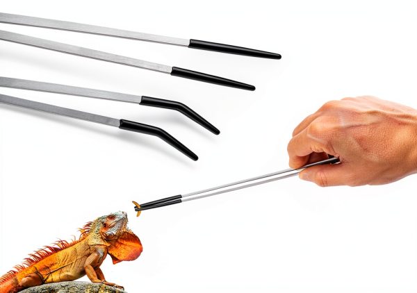 Stainless Steel Reptile Feeding Tongs by Novery 2‑Piece Rubber Tip Set-2