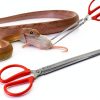 Heavy Duty Snake Feeding Tongs 15" Red by zhcoy Stainless Steel-0