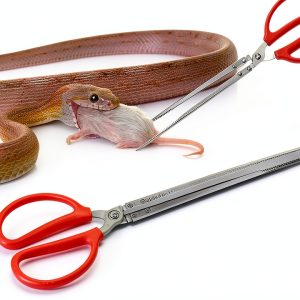 Heavy Duty Snake Feeding Tongs 15" Red by zhcoy Stainless Steel-0